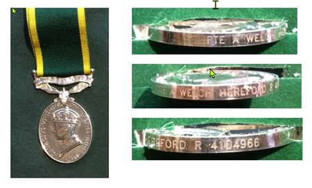 The Efficiency Medal (Territorial) awarded in 2010.