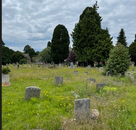 Ledbury Cemetery 2024 - he face of the chapel orets is obscured b t thehe ee but he 'spire' is visible as is the 'other' chapel of rest tot he right.