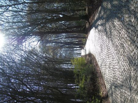 The cobbled road to the summit of Kemmel Hill as seen from the French Cemetery and Ossuary.