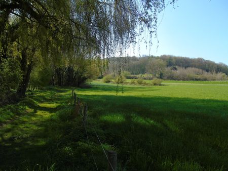 Mount Kemmel from Lettenberg in April 2023, showing a fully wooded hillside once again.