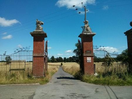The imposing gate leading to the long driveway to Canon Frome Court (2022)