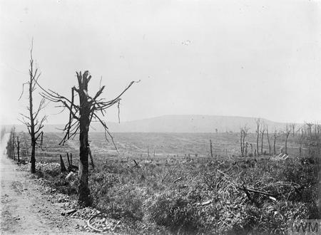 Mount Kemmel seen from 500 yards outside La Clytte, showing the direction the 34th Division advanced to capture the hill. © IWM Q 17859